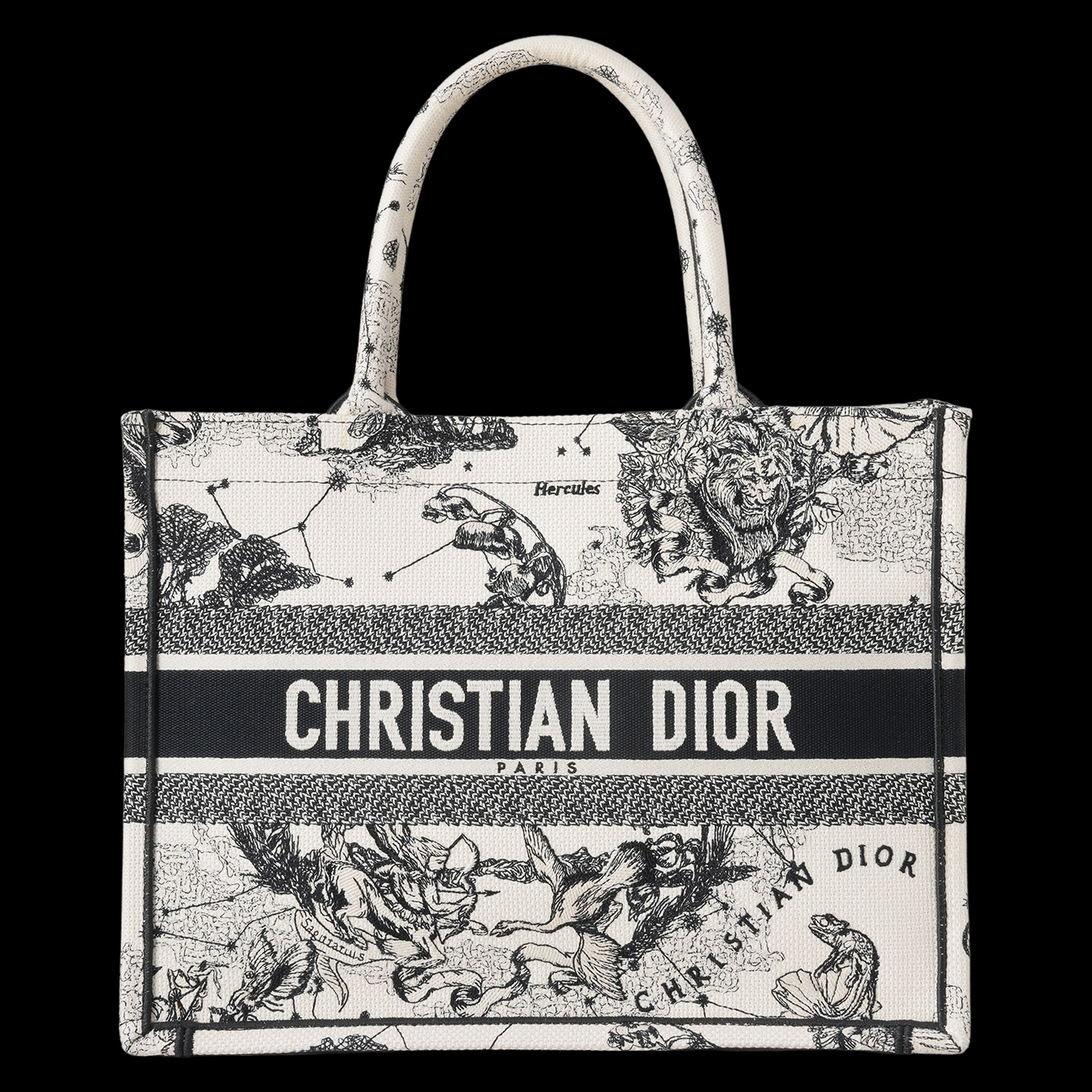 CHRISTIAN DIOR(USED)디올 조디악 북토트 미듐